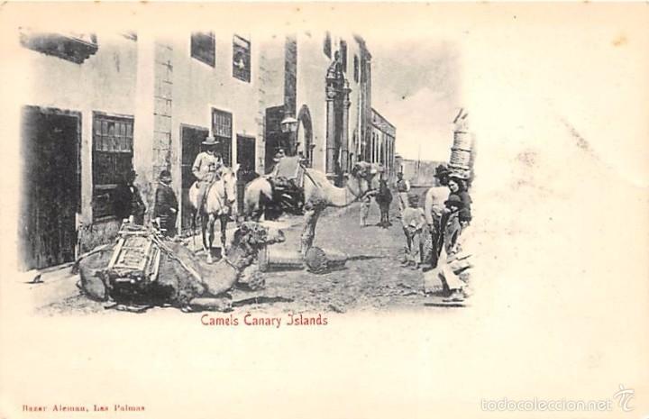 Postales: CAMELS CANARY ISLANDS - Foto 1