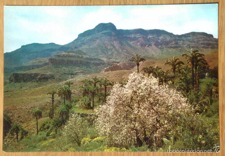 Postales: LAS PALMAS DE GRAN CANARAI - PAISAJE DE SANTA LUCIA