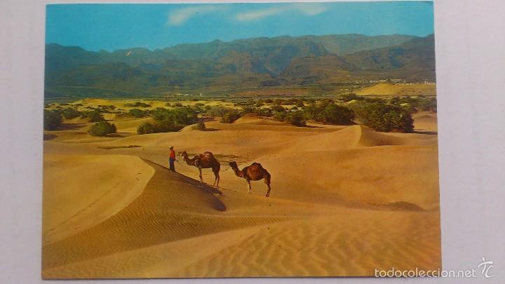 Postales: POSTAL GRAN CANARIA- DESIERTO DE MASPALOMAS