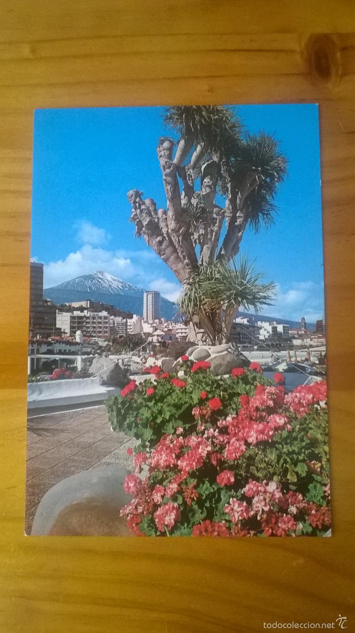Postales: POSTAL DEL PUERTO DE LA CRUZ Y TEIDE (TENERIFE) - SIN USAR
