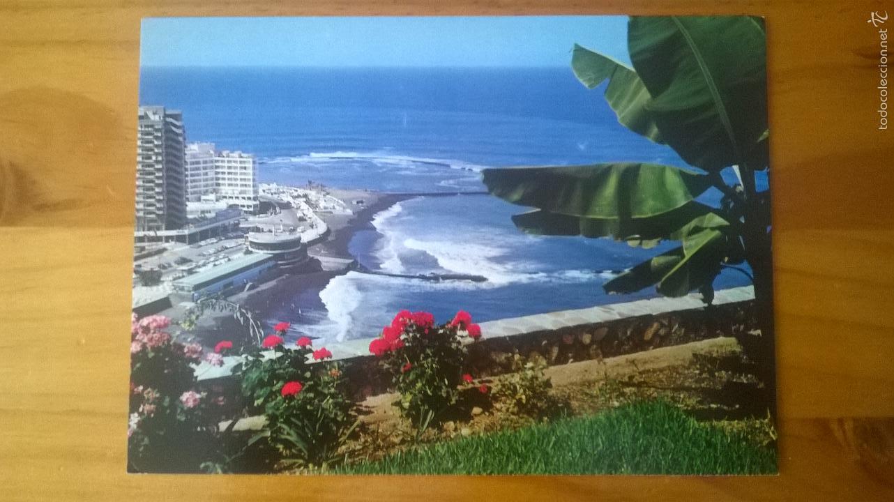 Postales: POSTAL DEL PUERTO DE LA CRUZ (TENERIFE) - SIN USAR