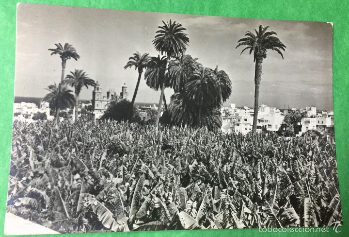 Postales: Las Palmas de Gran Canaria (Islas Canarias) - Vista parcial  - A&ntilde;os 50/60