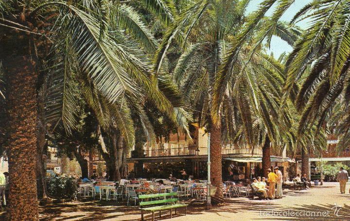 Postales: PUERTO DE LA CRUZ