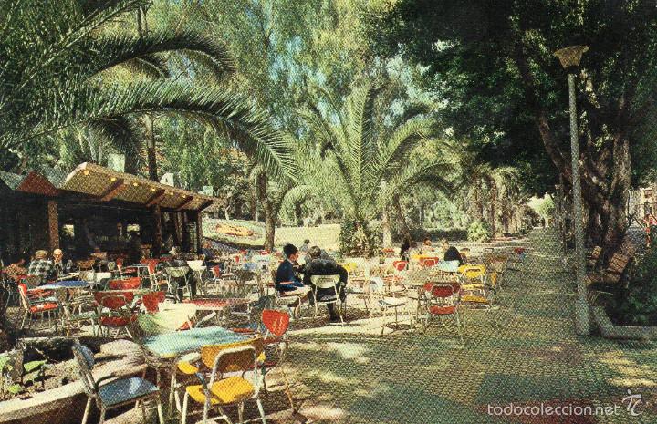 Postales: PUERTO DE LA CRUZ