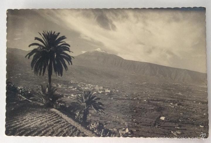 Cartes Postales: POSTAL FOTOGR&Aacute;FICA. VALLE DE LA OROTAVA. SANTA CRUZ DE TENERIFE. CANARIAS.