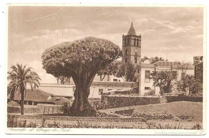 Postales: Icod de los Vinos, postal antigua - Foto 1