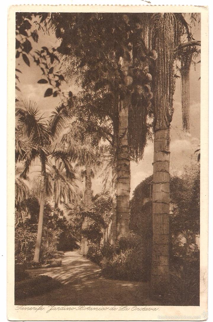Postales: Orotava. Jard&iacute;n bot&aacute;nico - Foto 1