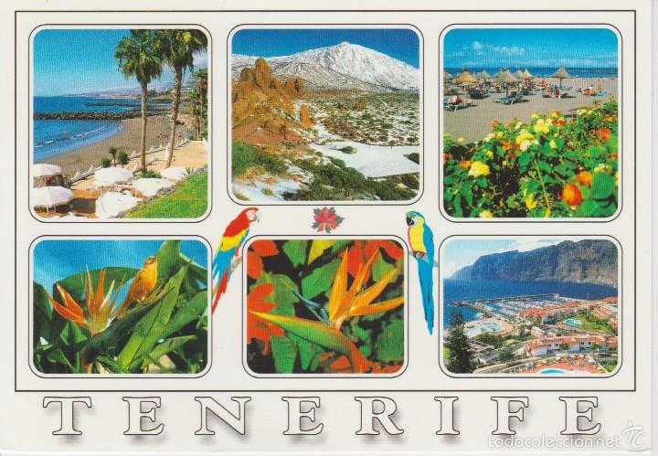 Postales: (1043) TENERIFE - Foto 1