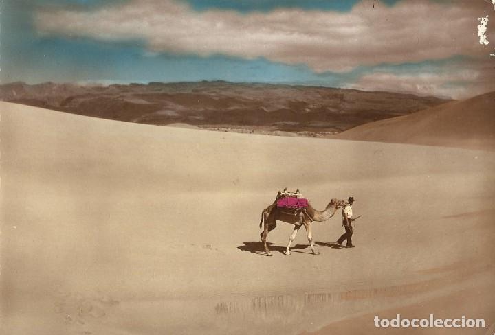 Postales: DUNAS PLAYA DE MASPALOMAS, a&ntilde;os 50.