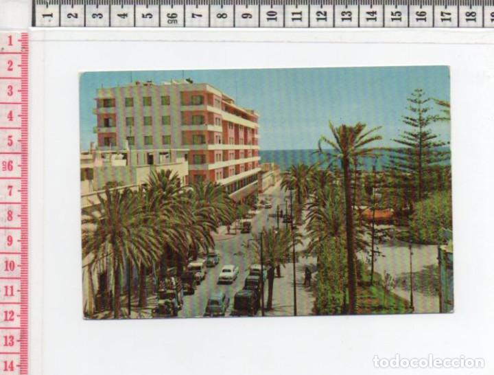 Postales: 23.310 TARJETA POSTAL, PARQUE SAN TELMO ,LAS PALMAS DE GRAN CANARIA, ISLAS CANARIAS