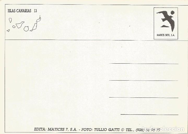 Postales: *** PN638 - POSTAL - ISLAS CANARIAS - Foto 2