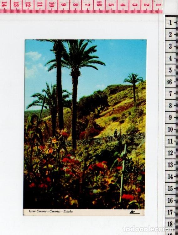 Postales: 23.523 TARJETA POSTAL, PAISAJE DEL CENTRO, LAS PALMAS DE GRAN CANARIA, ISLAS CANARIAS