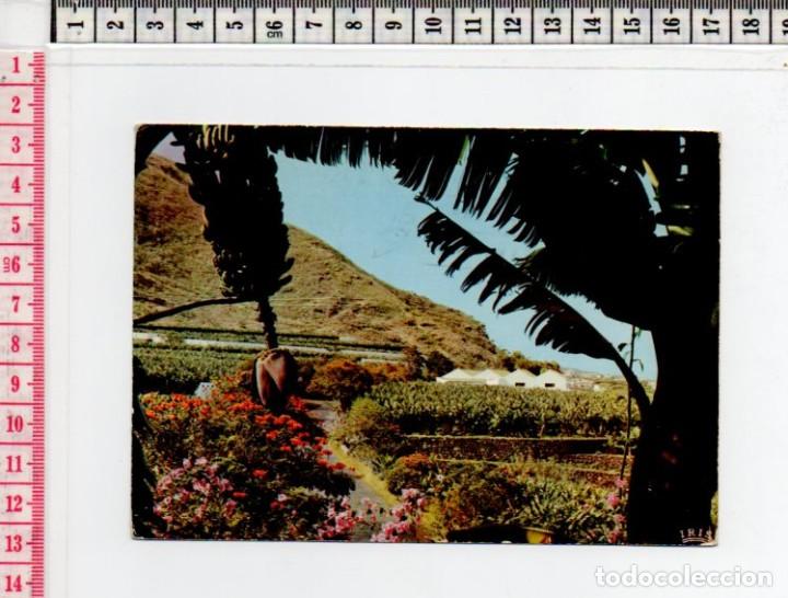 Postales: 23.566 TARJETA POSTAL, COSTA NORTE, LAS PALMAS DE GRAN CANARIA, ISLAS CANARIAS