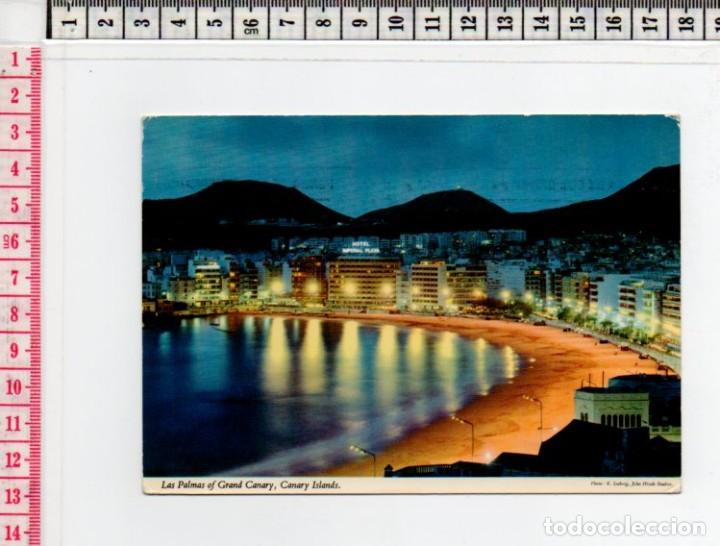 Postales: 23.635 TARJETA POSTAL, FLOR DE PASCUA, PLAYA DE LAS CANTERAS NOCTURNA, ISLAS CANARIAS