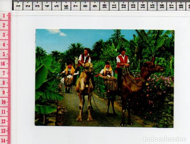 Postales: 23.688 TARJETA POSTAL, TRAJES TIPICOS, FOLKLORE, LAS PALMAS DE GRAN CANARIA, ISLAS CANARIAS