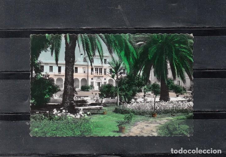 Postcards: 34. PUERTO DE LA CRUZ. JARDINES DEL HOTEL TAORO