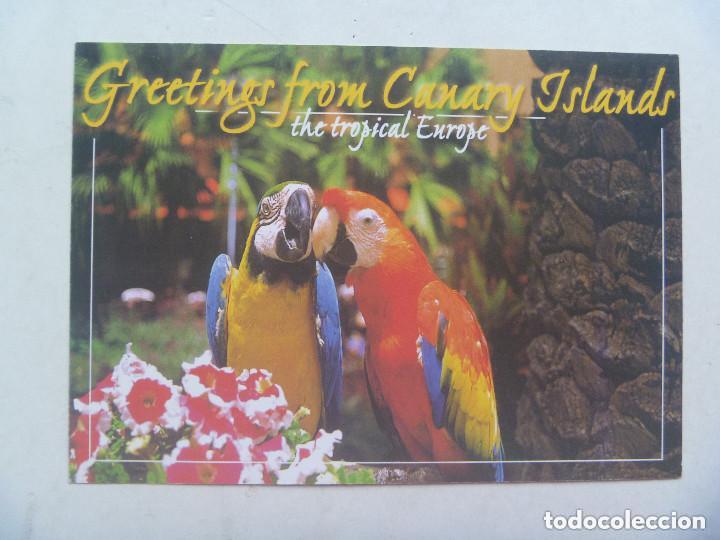 Postcards: POSTAL DE LAS ISLAS CANARIAS, ESCRITA EN TENERIFE EN 2012.