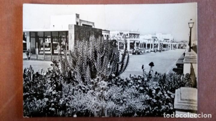 Postales: POSTAL ARRECIFE - VISTA PARCIAL DEL PARQUE MUNICIPAL