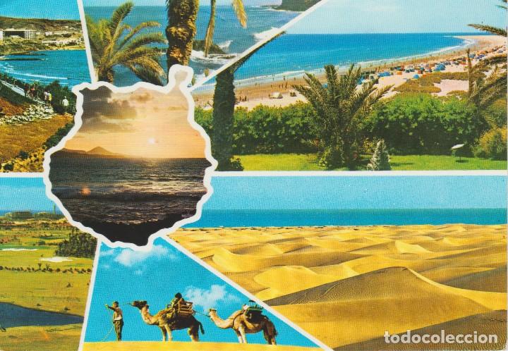 Postales: (10723) GRAN CANARIA. PLAYA DEL INGLES . CAMELLOS