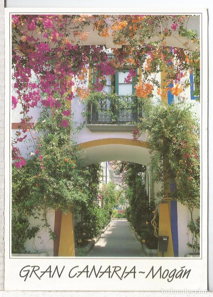 Postales: CANARIAS GRAN CANARIA MOGAN SIN ESCRIBIR