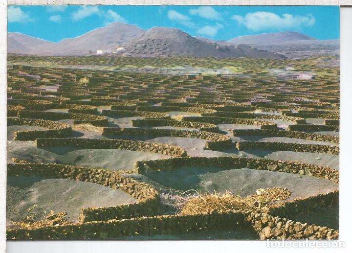 Postales: CANARIAS LANZAROTE SIN ESCRIBIR