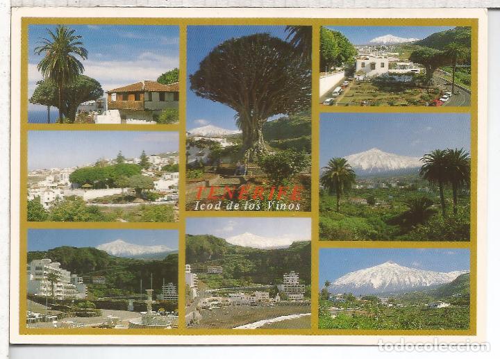 Postales: CANARIAS TENERIFE ESCRITA ICOD DE LOS VINOS - Foto 1