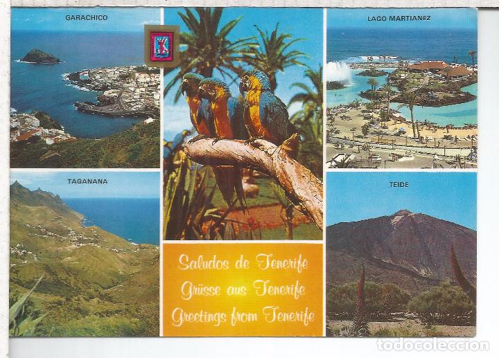 Postales: CANARIAS TENERIFE ESCRITA - Foto 1