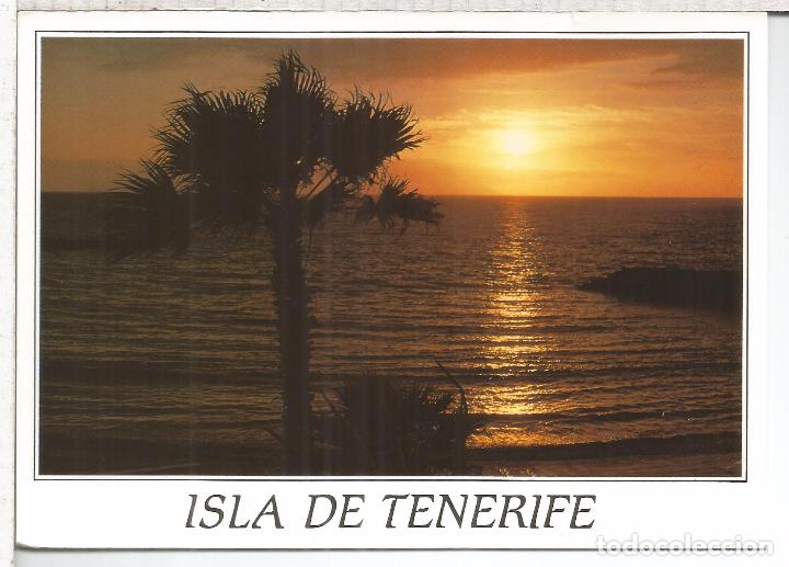 Postales: CANARIAS TENERIFE ESCRITA - Foto 1