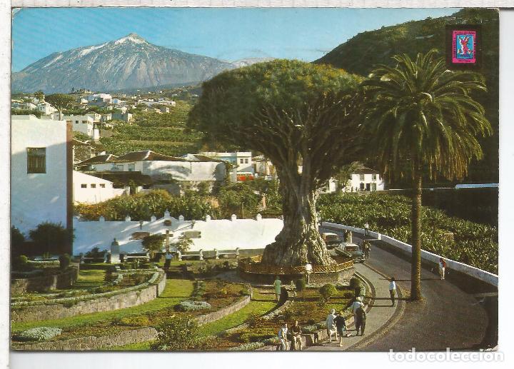 Postales: CANARIAS TENERIFE ESCRITA ICOD DE LOS VINOS - Foto 1