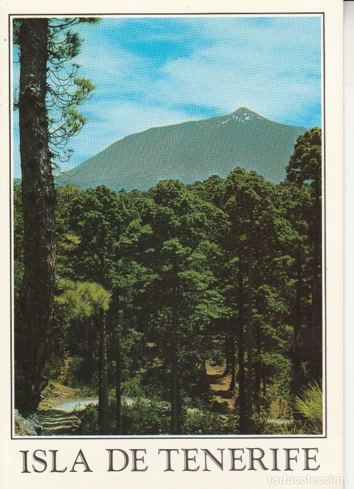 Postales: N&ordm; 30616 POSTAL EL TEIDE ENTRE PINARES TENERIFE - Foto 1