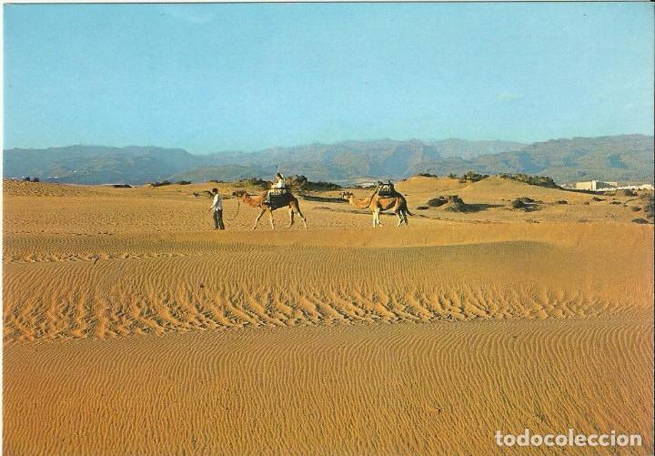 Postales: Postal de Gran Canaria.Dunas de Maspalomas. - Foto 1