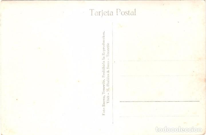 Postales: TENERIFE PUERTO - Foto 2