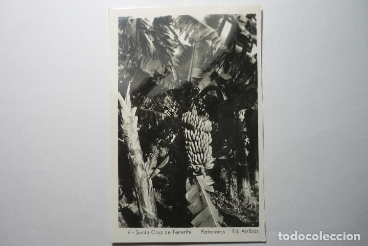 Cartoline: POSTAL STA.CRUZ TENERIFE - PLATANERAS - ED.ARRIBAS CM