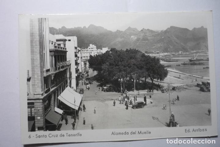 Cartes Postales: postal tenerife.alAMEDA DEL MUELLE-EDIC-ARRIBAS CM