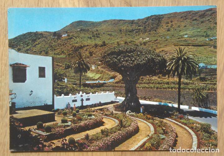 Cartoline: ICOD DE LO VINOS - DRAGO MILENARIO