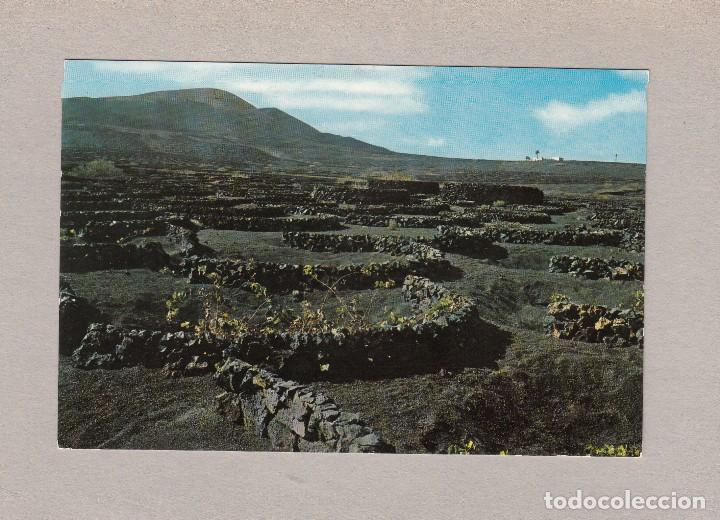 Postales: 2693.- LANZAROTE. LA GERIA