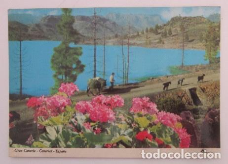 Postales: POSTAL GRAN CANARIA - Foto 1