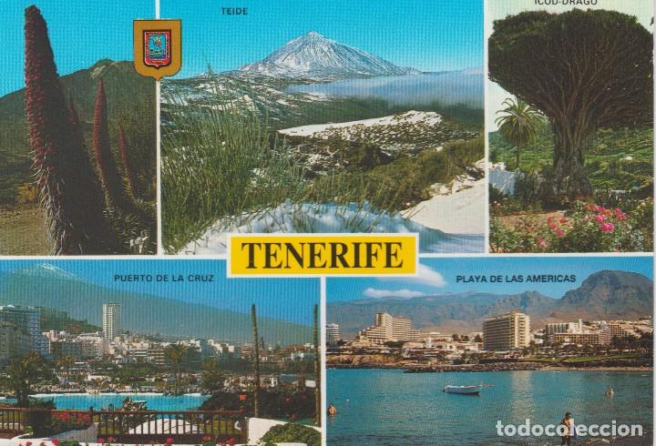 Postales: (24491)  TENERIFE - Foto 1