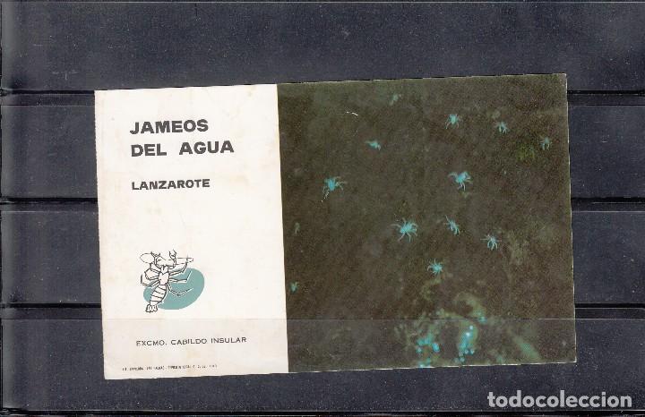 Postales: LANZAROTE JAMEOS DEL AGUA - Foto 1