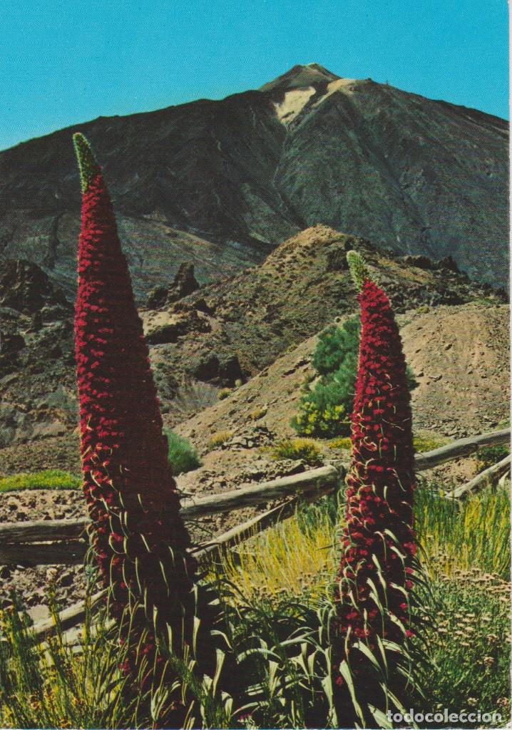 Postales: (48) TENERIFE. LAS CA&Ntilde;ADAS - Foto 1