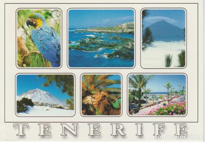 Postales: (1158) TENERIFE - Foto 1
