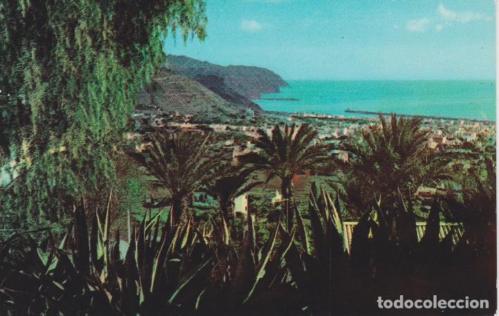 Postais: (11) TENERIFE. SANTA CRUZ DESDE LA VUELTA DE LOS PAJAROS ... SIN CIRCULAR