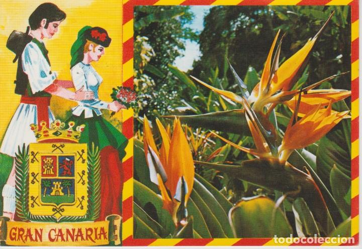 Postales: (1100) GRAN CANARIA