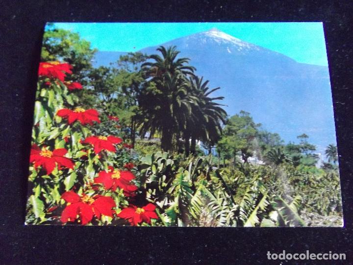 Cartes Postales: TENERIFE-V43-PAISAJE