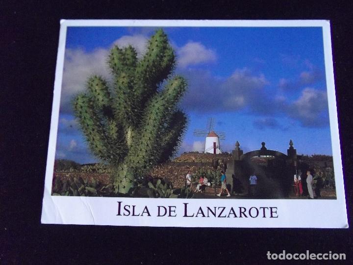 Postales: LANZAROTE-V43-JARDIN DE CACTUS-CIRCULADA