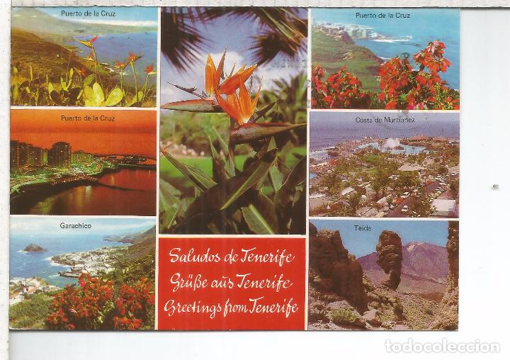 Postales: CANARIAS TENERIFE ESCRITA - Foto 1