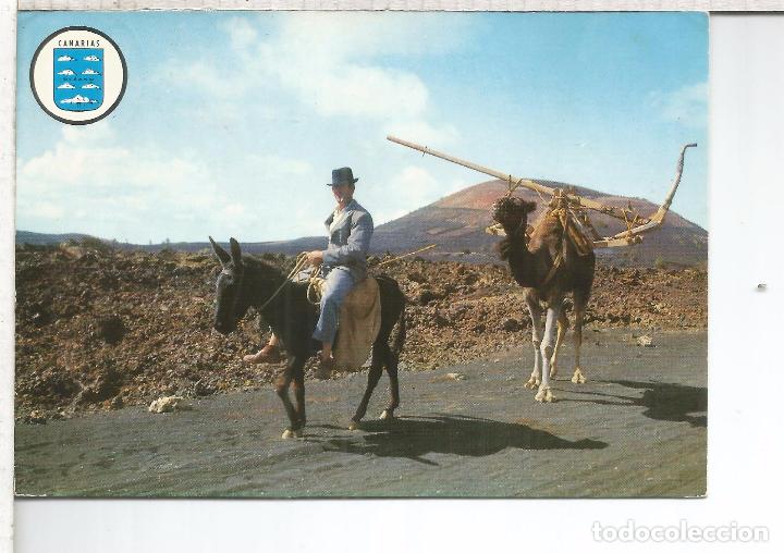 Cartes Postales: CANARIAS GRAN CANARIA ESCRITA