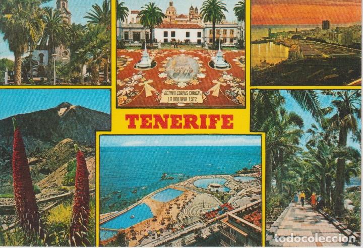 Postales: (72) TENERIFE. - Foto 1