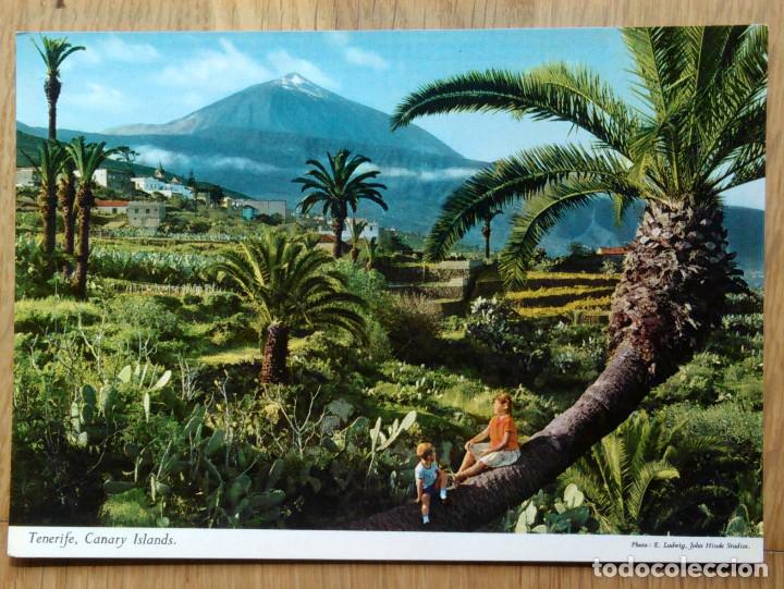 Postales: TENERIFE  - COSTA NORTE - Foto 1