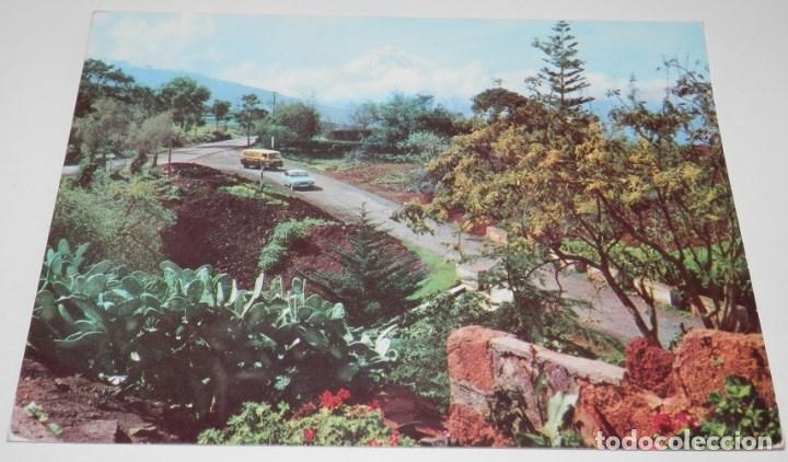 Postais: TARJETA POSTAL ANTIGUA DE LA ISLA DE TENERIFE CANARIAS